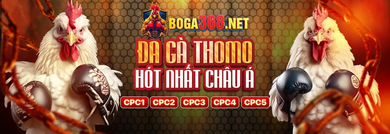 Sảnh Đá Gà Trực Tuyến Hấp Dẫn tại Typhu Trang Chủ Chính Thức